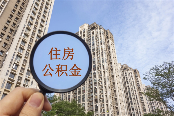 尉氏深圳公积金（深圳公积金首页）